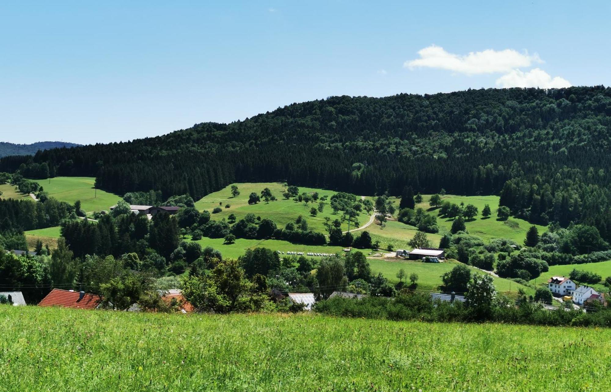 Hausen am Tann Ferienwohnung Blick Rappenstein מראה חיצוני תמונה